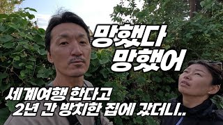 전원주택 2년 간 방치했더니 주인도 못 들어가는 땅이 됐어요 [upl. by Azral535]