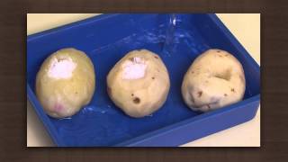 Potato experiment  Osmosis  Biology [upl. by Nagaek141]