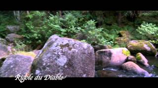 Parc Naturel Millevaches en Limousin  Lac de Vassivière  Tourisme Limousin [upl. by Mcmullan546]