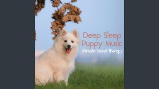 Dog Sounds [upl. by Irby]