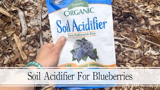 Applying a Soil Acidifier For My Blueberries [upl. by Terchie]