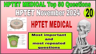 20 hptet Biology MCQs Top 50  November 2024  tgtmedical hptetmedical hptetbiology [upl. by Eitsym771]