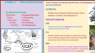 family orchidaceae ।। bsc।IYEAR family orchidaceae its economoc importance systematics and phylogeny [upl. by Alahsal]