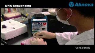 DNA Sequencing [upl. by Ause]