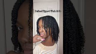 DEFINED Wash and Go on Type 4 natural hair using ilovethedoux amp wet line extreme gel washandgo [upl. by Means]