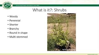 General Plant Identification  Invasive Plant Management Webinar [upl. by Sletten]