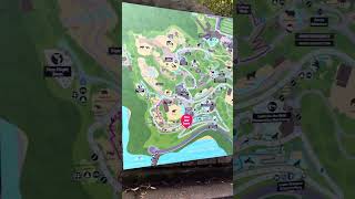 Need a map in Taronga Zoo [upl. by Trescha]