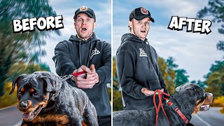 How to STOP Leash PULLING in 8 Minutes REAL RESULTS [upl. by Mcintyre]