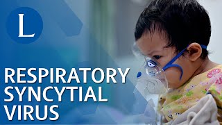 Respiratory Syncytial Virus [upl. by Aicilec317]