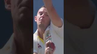 Ben stokes 😠vs🤬josh hazlewood shorts cricket [upl. by Ennirok]