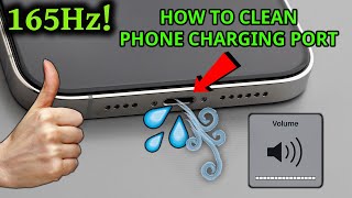 Get Water Out Of Your iPhone Charging Port [upl. by Melodie]