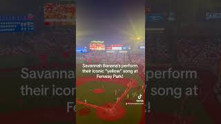 ￼Savannah Banana’s perform their iconic 7th inning stretch song “yellow” at Fenway Park [upl. by Annaear312]