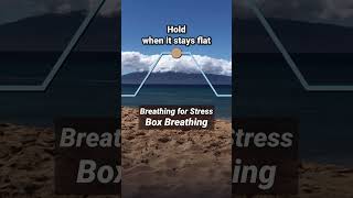 Breathing for Stress Box Breathing [upl. by Rramal]