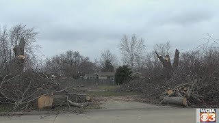 I dont get it Mahomet neighborhood left confused by downed trees [upl. by Llehsam]