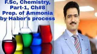 Preparation of ammonia by Habers process [upl. by Brunella88]