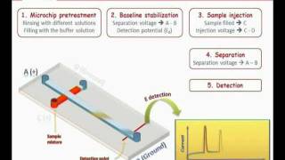 Microchip Electrophoresis  MicruX [upl. by Sammy534]