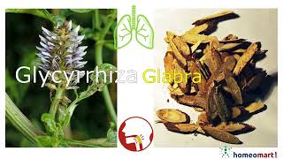 Glycyrrhiza Glabra Licorice Homeopathy Uses Benefits Dosage Side Effects shorts [upl. by Sivrat]