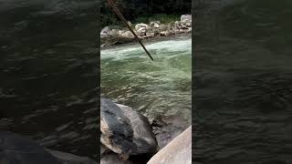 Trout Fishing in Himalayan River  Best Fishing 🎣 in Trout Fish 🐠 fishingtips amazingfishing [upl. by Esor]