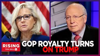 GOP Royalty Liz And Dick Cheney TURN THEIR BACKS On TRUMP [upl. by Ecirtnahc]