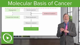 Molecular Basis of Cancer [upl. by Yevi605]