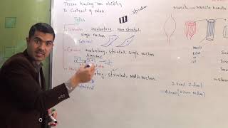 L7 Muscles Structure and Types of muscles smooth cardiac and skeletal muscle [upl. by Susannah]