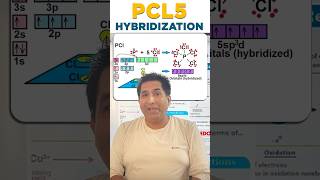 PCL5 hybridization Class 11  CKSir chemistry shorts cbse onlinetutor [upl. by Aidnama]