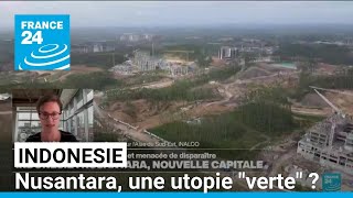 Nusantara  la nouvelle capitale quotvertequot de lIndonésie  • FRANCE 24 [upl. by Nosaes524]