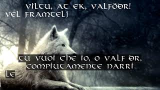 Testo e Traduzione  Völuspá skaldic Version  Wardruna [upl. by Suiluj745]