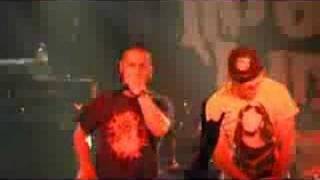 Despised Icon LIVE Furtive Monologue  Vienna Austria 2008 [upl. by Dominica356]