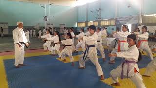 Karate Basic Training by Shitoryu Karate School [upl. by Josie653]