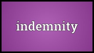 Indemnity Meaning [upl. by Sitoiganap]