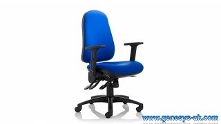 Orthopaedica Back Care Chair  Orthopaedica Back Support Chair  OC97  OC97HA  OC97FDA [upl. by Teemus945]