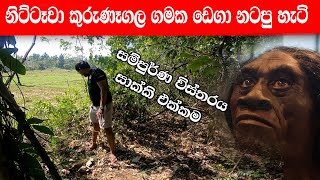 නිට්ටෑවා කුරුණෑගල ගමක ඩෙගා නටපු හැටි  Nittawa in Kurunegala area  Nava vlog 39 [upl. by Cynthia]