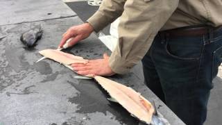 How to Fillet a Fish [upl. by Anwat]