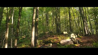 quotPrzeżyj to Polskie parki narodowequot – Świętokrzyski Park Narodowy [upl. by Lolande705]