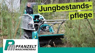 Jungbestandspflege mit Forstfräse amp Forstraupe Moritz Fr50  So pflegt man eine Pflanzfläche richtig [upl. by Atsylak]