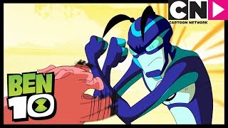 Fuga dalla fattoria  Ben 10 Italiano  Cartoon Network [upl. by Demetris]