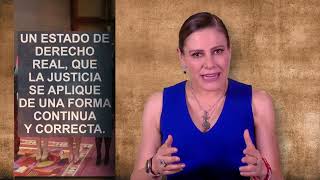 ¿Qué hacen los tribunales administrativos [upl. by Micky]