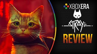 Review  Stray 4K [upl. by Susumu167]