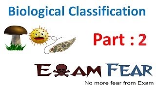 Biology Biological Classification part 2 Linnaeus 2 kingdom classification CBSE class 11 XI [upl. by Gardie]