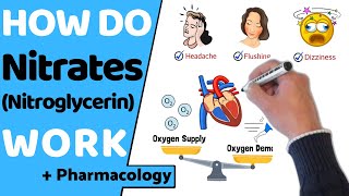 How Do Nitrates Work Nitroglycerin [upl. by Yderf]