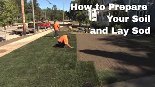 How to Prepare Your Soil and Lay Sod [upl. by Abisha375]