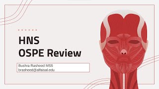 HNS OSPE Review Pt 1 Anatomy amp Radiology  Bushra Rasheed  HNS 242 PAL review session [upl. by Atsira852]