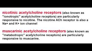 Ach Receptors  Nicotinic amp Muscarinic [upl. by Ahsaetal]