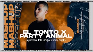 EL TONTO X PARTY ANIMAL bumbum Mashup [upl. by Arraes]