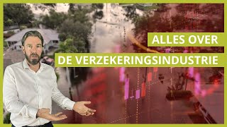 Verzekeringsindustrie onder Druk Wat We Leren van Verlies en Risico [upl. by Netti]