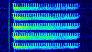 UVB76The Buzzer 4625Khz LIVE [upl. by Chute]