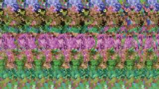 Gears  Animated Stereogram with hidden 3D picture [upl. by Tutankhamen]