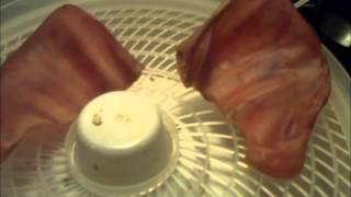 Homemade dog treats how to make pig ears [upl. by Bollay]