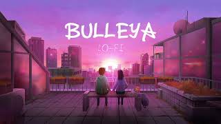 Lyrical  Bulleya Song with Lyrics  Sultan  Salman Anushka Vishal amp Shekhar Irshad Kamil Papon [upl. by Uis]